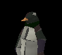Featured Member