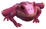 Red Frog Image