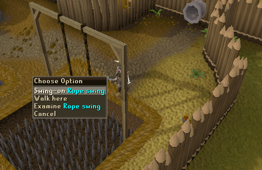 Rope Swing