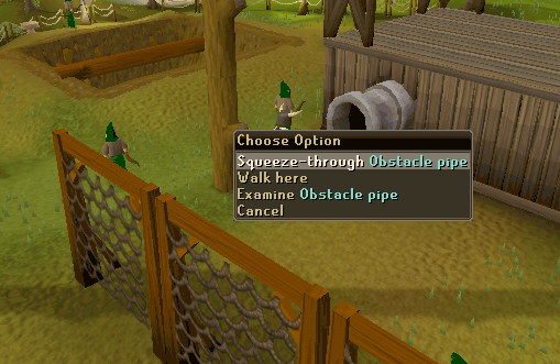 Obstacle Pipe