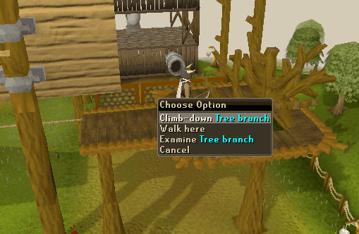 Tree Branch