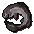 Cave moray
